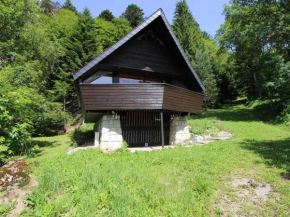 Mont-Dore : Chalet agréable avec WIFI pour 9 personnes - FR-1-608-88
